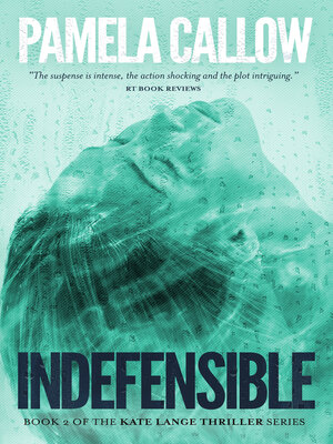 INDEFENSIBLE - ebook